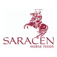 Saracen